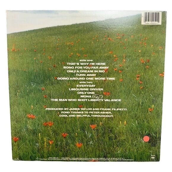 James Taylor - That’s Why I’m Here Vinyl LP, Very Good Condition - Picture 2 of 6